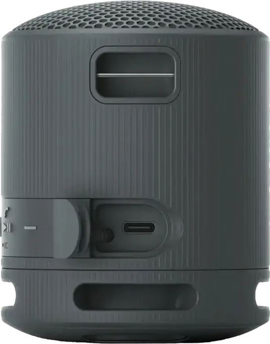 Sony SRS-XB100 Portable Wireless Bluetooth Speaker, Black, IP67 Water & Dust Resistant, 16h Battery Life, USB-C, Stereo Pair Support, 2.5W Output