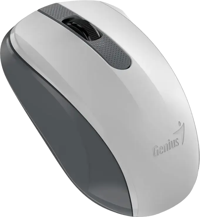 Genius NX-8008S Wireless Silent Mouse, White/Grey, 1200 DPI BlueEye Sensor, 2.4GHz USB-A Pico Receiver, Ambidextrous Contoured Design, Plug and Play