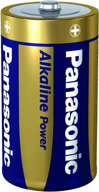 Baterii Panasonic LR20REB, D, 2buc.