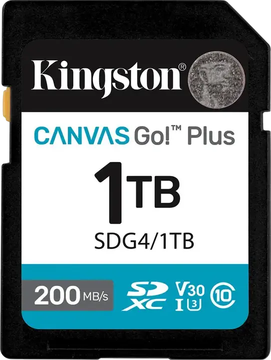 Card de Memorie Kingston Canvas Go! Plus, 1024GB (SDG4/1TB)