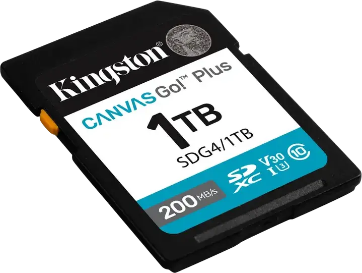 Kingston Canvas Go! Plus SD (SDG4) 1024GB Memory Card, UHS-I U3 V30 Class 10, Up to 200MB/s Read, Waterproof X-Ray Proof, for 4K UHD Video and DSLR Cameras