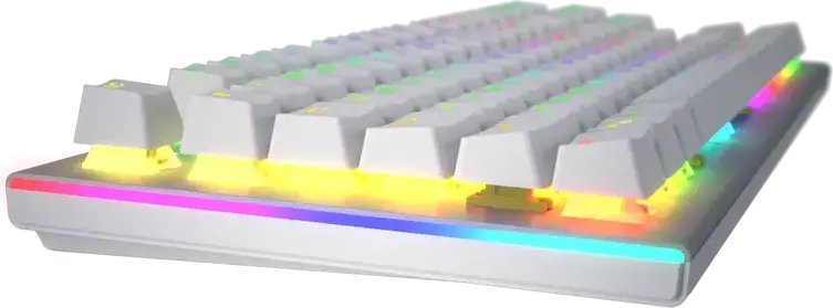 HATOR Gravity X TKL Mechanical Gaming Keyboard, Wired, Aurum Orange Linear rev.2.0 Switches, RGB Backlighting, Aluminum Plate, QMK/VIA, NKRO, White