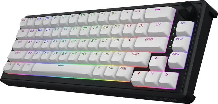 Tastatura Mecanica HATOR Skyfall 65 MAG ULTRA 8K HTK1860UA, Cu Fir, Switch-uri Magnetice Aurum Ice Linear, Rata Polling 8000Hz, Gasket Mount, Capace PBT, RGB