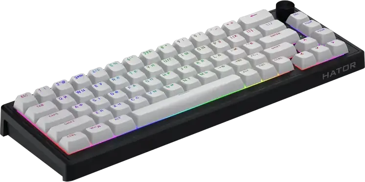 Tastatura Mecanica HATOR Skyfall 65 MAG ULTRA 8K HTK1860UA, Cu Fir, Switch-uri Magnetice Aurum Ice Linear, Rata Polling 8000Hz, Gasket Mount, Capace PBT, RGB