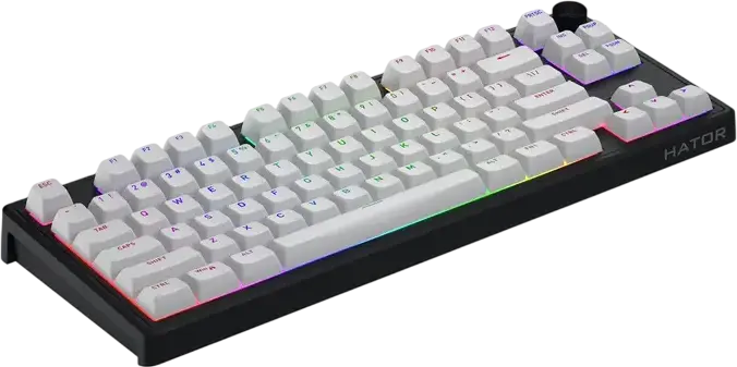 Механическая клавиатура HATOR Skyfall 80 MAG ULTRA 8K TKL проводная, магнитные линейные переключатели Aurum Ice, Rapid Trigger 0.01 мм, опрос 8000 Гц, PBT OMA, RGB