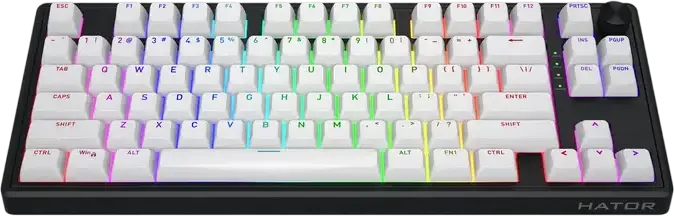 Механическая клавиатура HATOR Skyfall 80 MAG ULTRA 8K TKL проводная, магнитные линейные переключатели Aurum Ice, Rapid Trigger 0.01 мм, опрос 8000 Гц, PBT OMA, RGB