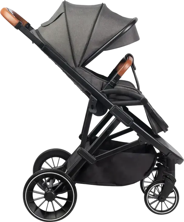Caretero Ratio Baby Stroller Buggy, Dark Gray, Reversible Seat, 0-4 Years, Max 22kg, Adjustable Handle, EVA Foam Wheels, 5-Point Harness, with Rain Cover and Footmuff