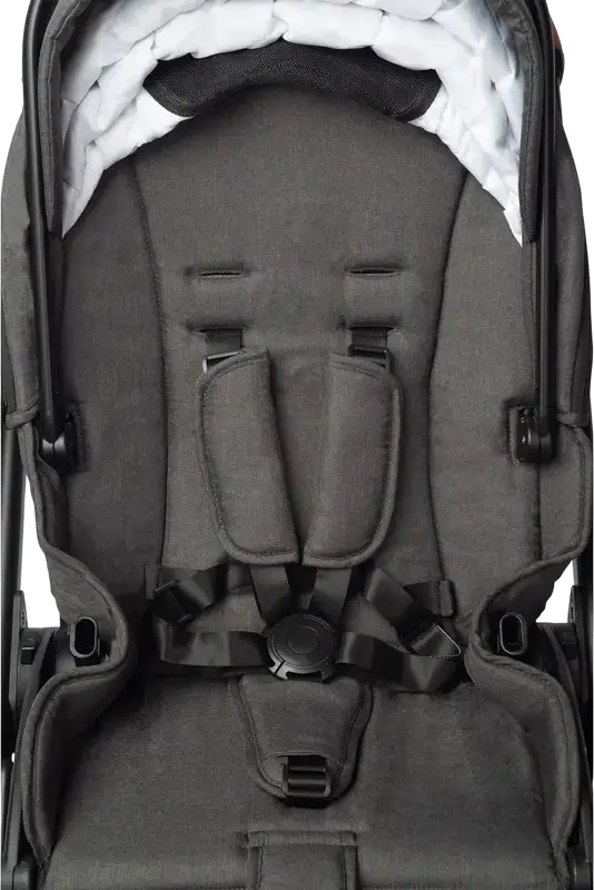 Caretero Ratio Baby Stroller Buggy, Dark Gray, Reversible Seat, 0-4 Years, Max 22kg, Adjustable Handle, EVA Foam Wheels, 5-Point Harness, with Rain Cover and Footmuff