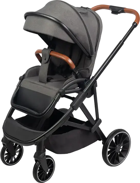 Caretero Ratio Baby Stroller Buggy, Dark Gray, Reversible Seat, 0-4 Years, Max 22kg, Adjustable Handle, EVA Foam Wheels, 5-Point Harness, with Rain Cover and Footmuff