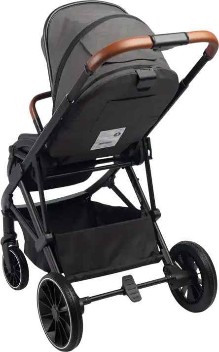 Caretero Ratio Baby Stroller Buggy, Dark Gray, Reversible Seat, 0-4 Years, Max 22kg, Adjustable Handle, EVA Foam Wheels, 5-Point Harness, with Rain Cover and Footmuff