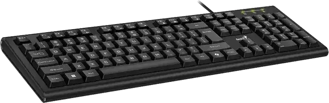 Genius KB-113 Wired Full-Size USB Membrane Keyboard, Spill-Resistant, 12 Multimedia FN Keys, AI Copilot Key, Low-Profile Concave Keys, Black