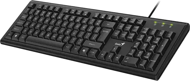 Genius KB-113 Wired Full-Size USB Membrane Keyboard, Spill-Resistant, 12 Multimedia FN Keys, AI Copilot Key, Low-Profile Concave Keys, Black