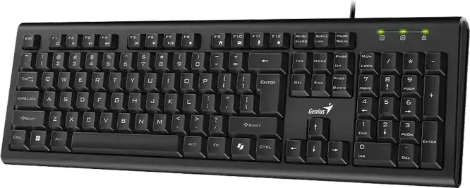 Genius KB-113 Wired Full-Size USB Membrane Keyboard, Spill-Resistant, 12 Multimedia FN Keys, AI Copilot Key, Low-Profile Concave Keys, Black