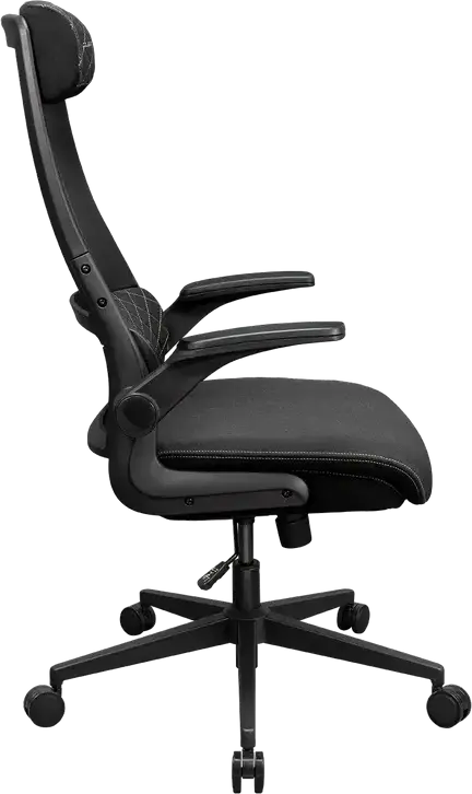 Cougar Stryder CGR-STD-BLB Highback Ergonomic Hybrid Gaming and Workspace Chair, Textile, Flip-Up Armrests, Class 4 Gas Lift, 166° Recline, Black
