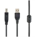 Кабель передачи данных Gembird CCF-USB2-AMBM-6 USB 2.0, USB Type-A - Type-B Male, 1.8м, позолоченные коннекторы, ферритовый фильтр, черный