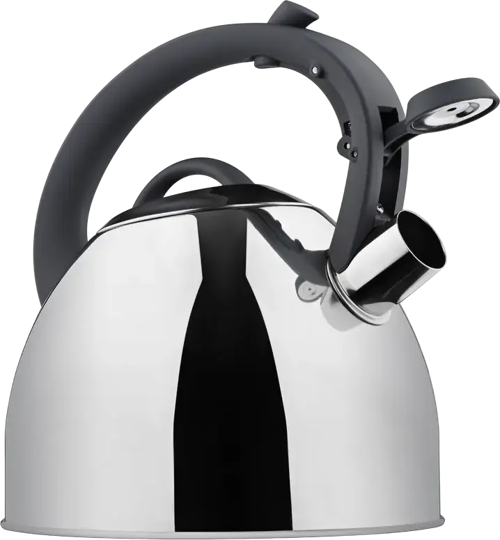 Ardesto AR1947KS Gemini Cremona Stovetop Kettle, 2.5L, Stainless Steel, Capsular Bottom for All Hobs including Induction, Folding Spout, Light Blue
