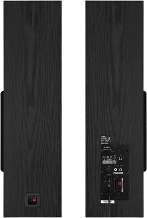 F&D T-35X 2.0 Floorstanding Audio System, 80W RMS, Bluetooth 5.0, FM Radio, Optical, USB, AUX, Wooden MDF, Karaoke with Microphone, Black