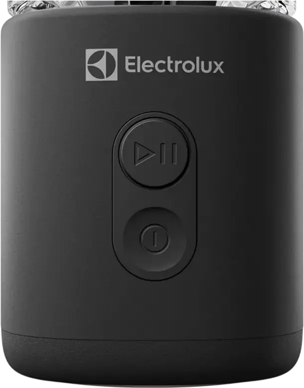 Портативный блендер Electrolux E4BP1-2CG, аккумулятор Li-ion 120 Вт, объем 0.69 л, 6 лезвий из нержавеющей стали, 2 режима скорости, серый