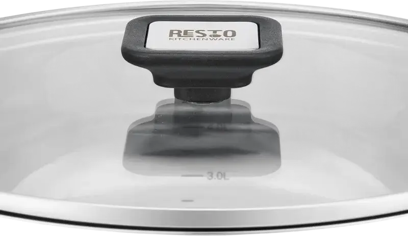 RESTO Anser 92205 Stainless Steel Casserole Pot, 5.8L, 24cm Diameter, Glass Lid, Volume Markings, Induction Compatible, Grey