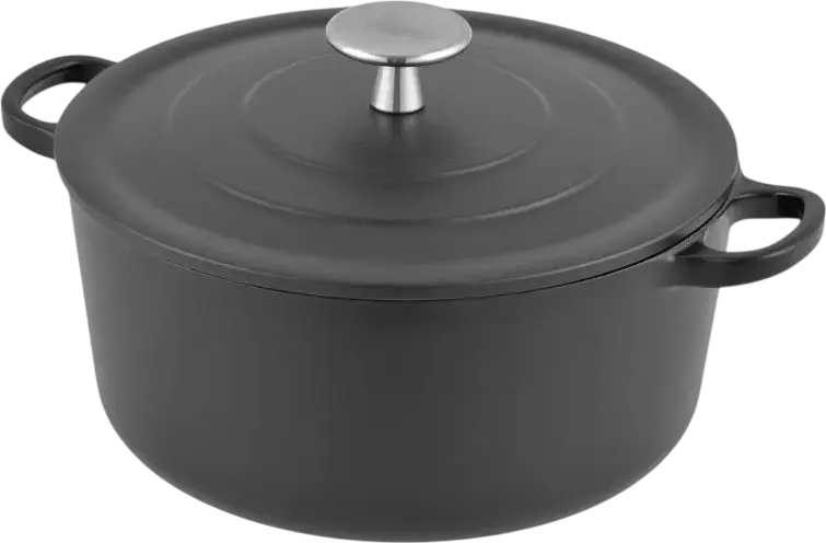 Royal Van Kampen en Begee Cast Iron Pot with Enamel Coating, 3.3L Round Casserole with Stainless Steel Lid and Handles, 22cm, Induction Ready