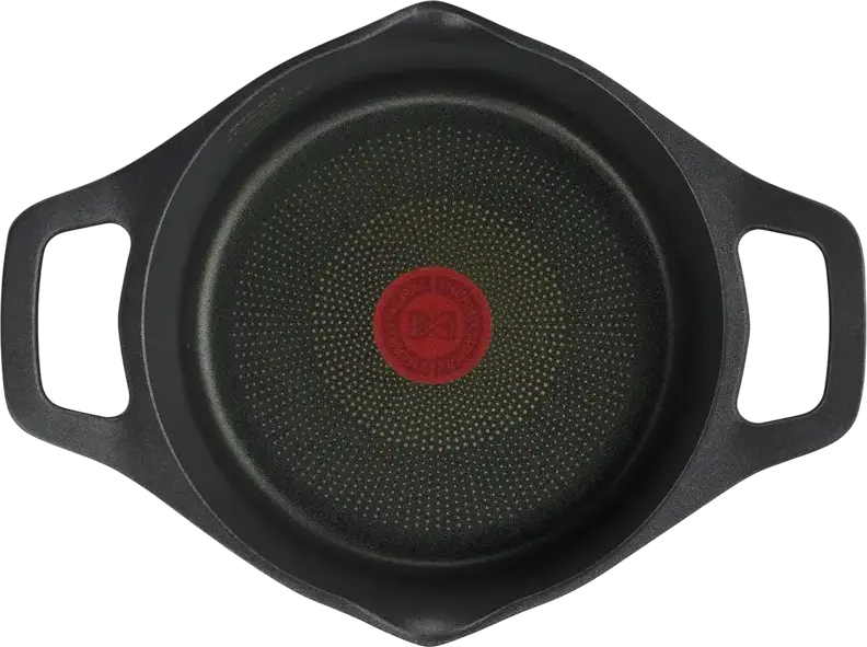 Tefal Robusto E2494444 Cast Aluminum Casserole 2.8L 20cm, Titanium 3X Non-stick Coating, Thermo-Fusion Integral Induction Base, Glass Lid, Black