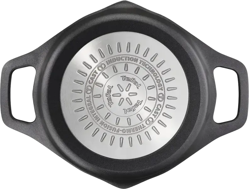Tefal Robusto E2494444 Cast Aluminum Casserole 2.8L 20cm, Titanium 3X Non-stick Coating, Thermo-Fusion Integral Induction Base, Glass Lid, Black