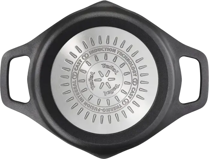 Tefal Robusto E2494444 Cast Aluminum Casserole 2.8L 20cm, Titanium 3X Non-stick Coating, Thermo-Fusion Integral Induction Base, Glass Lid, Black