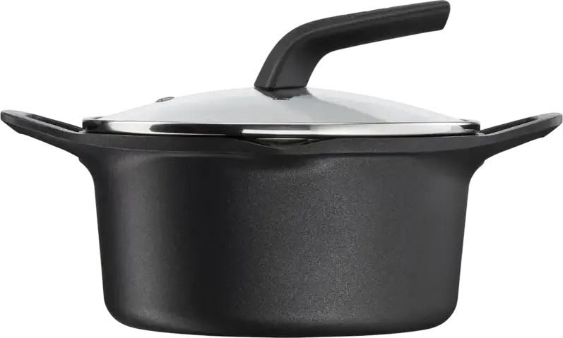 Tefal Robusto E2494444 Cast Aluminum Casserole 2.8L 20cm, Titanium 3X Non-stick Coating, Thermo-Fusion Integral Induction Base, Glass Lid, Black