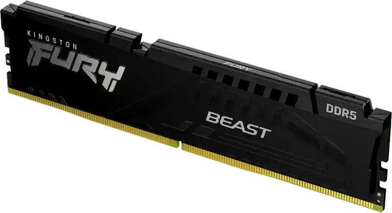 Kingston FURY Beast DDR5 64GB Kit (1x64GB) 5600MHz CL36 RAM KF560C36BBE2K2-32, Intel XMP 3.0, AMD EXPO, Low-Profile Aluminum Heat Spreader, Black