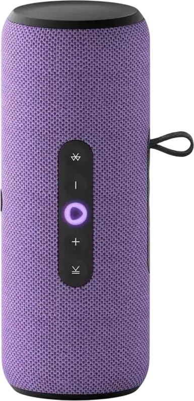 Boxă Smart Portabilă Yandex Station Street YNDX-00030, 30W, Rezistentă la Apă IP67, Asistent Vocal Alisa, Bluetooth 5.0, Wi-Fi, Baterie 12h, Violet