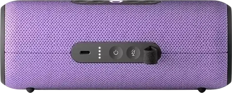 Boxă Smart Portabilă Yandex Station Street YNDX-00030, 30W, Rezistentă la Apă IP67, Asistent Vocal Alisa, Bluetooth 5.0, Wi-Fi, Baterie 12h, Violet