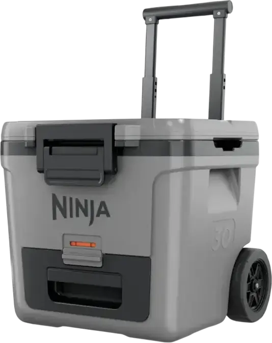Cooler Pasiv cu Roți Ninja FrostVault FB230EUGY, Capacitate 28L, Retenție Gheață 5 Zile, Roți All-Terrain, Mâner Telescopic, Zonă Uscată, Gri