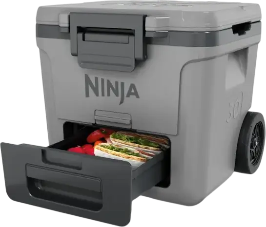 Cooler Pasiv cu Roți Ninja FrostVault FB230EUGY, Capacitate 28L, Retenție Gheață 5 Zile, Roți All-Terrain, Mâner Telescopic, Zonă Uscată, Gri