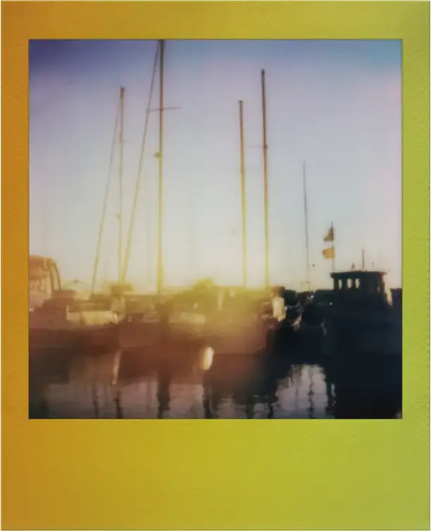 Polaroid Go Color Instant Film, 640 ISO Glossy Finish, White Frame, 16 Exposures (2x8 Cartridges), for Polaroid Go Cameras