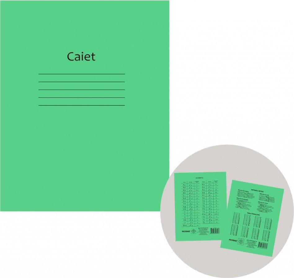 Caiet 12f Prostand coperta verde 12PR /25/300 05 patratele