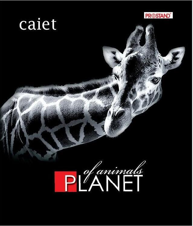 Caiet 48f Prostand coperta color TPR 48 -TC 1/12 05 patratele