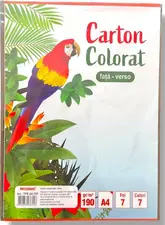 PROSTAND Carton colorat fata-verso 7 foi 7 culori A4 TPR A4-7DF /5