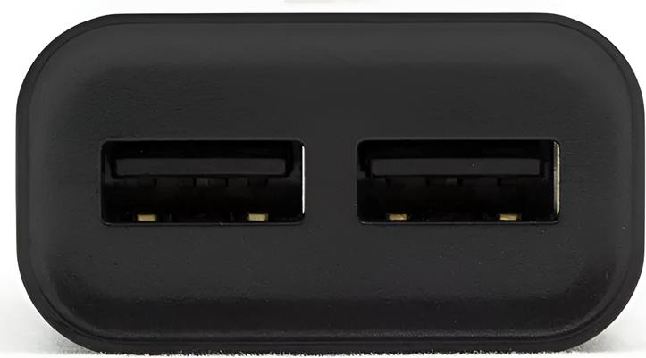 Сетевое зарядное устройство Helmet 2x USB Type-A 2.4A с кабелем USB - Lightning, защита от перенапряжения и перегрева, черный
