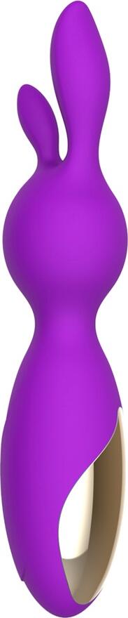 WINYI Emily Vibrator IPX6 12 Mode Vibration, Pink/Purple
