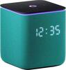 Asistenți vocali (Alexa, Google Home)