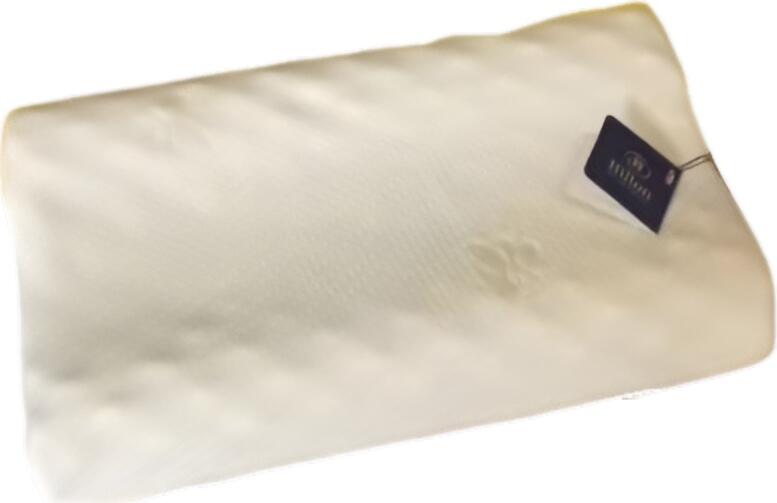NO Brand Perna LATEX 60*40cm