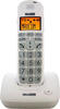 Telefoane DECT (wireless)