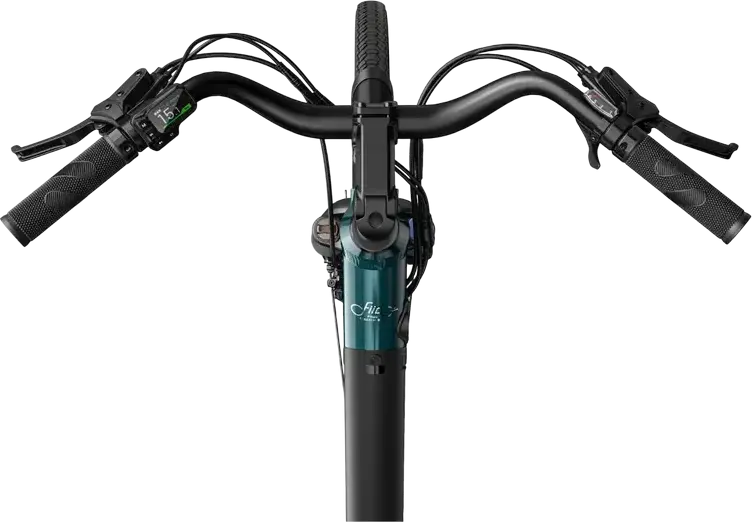 Fiido C11 Electric City Bike, 250W Motor 55Nm, 48V 10.4Ah Removable Battery, 90km Range, Shimano 7-Speed, Hydraulic Disc Brakes, Aluminum Step-Through Frame