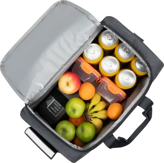 Resto 5519 FELIS Cooler Bag, 19L Thermal Insulated Polyester Bag with PEVA Lining, Water-Resistant Shell, Shoulder Strap and Handles, Grey