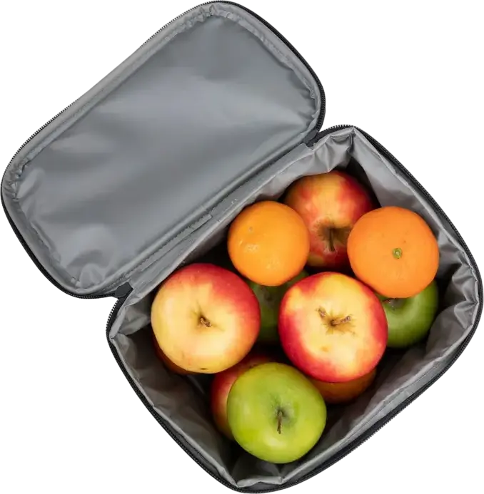 RESTO 5502 FELIS Cooler Bag, 3.5L Thermal Insulated Polyester Bag with PEVA Lining, Water-resistant Grey Cooler with Handle and Zipper