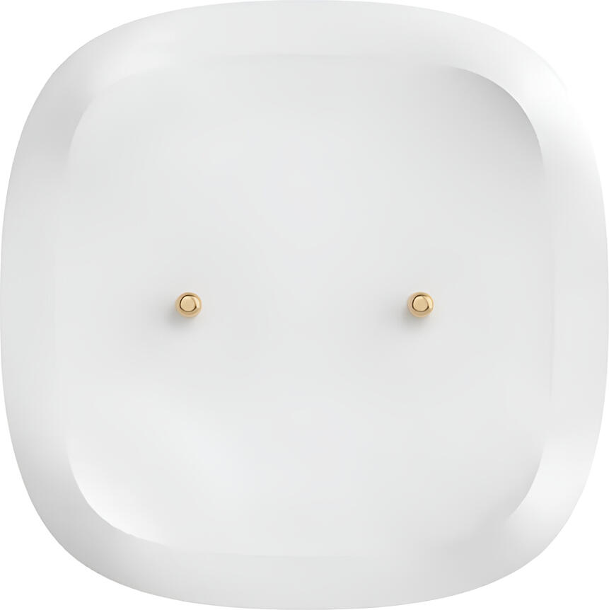 Sonoff SNZB-05P Zigbee 3.0 Water Leakage Sensor, IP67 Waterproof Real-time Drip Detection, eWeLink App Support, Alexa & Google Assistant Compatible