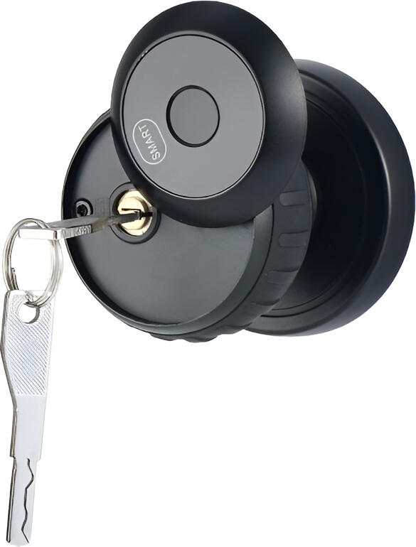 DMLink G530 Smart Lock, Semiconductor Fingerprint, Password, Tuya App, Bluetooth, Aluminum Alloy, for 35-50mm Door Thickness, Black