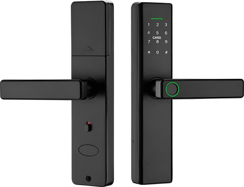 NO Brand Smart Lock with Fingerprint Outdoor, Password. Tuya APP G518, Black