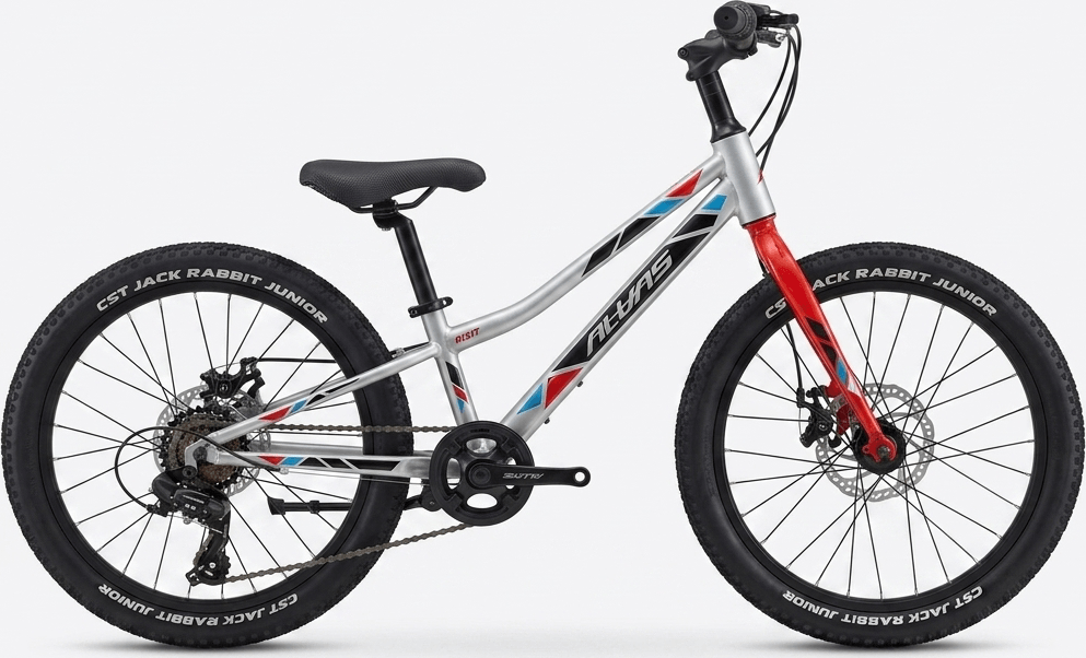 Alvas MT 20 argintiu - Biciclete > Roti 20 - 6/8 ani
