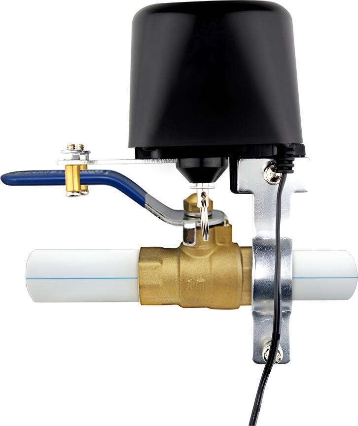 Moes Zigbee Smart Water and Gas Valve with Eu Power Adapter, black